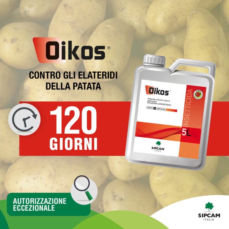 Patate ed elateridi: Oikos® di Sipcam Italia, autorizzazione in deroga