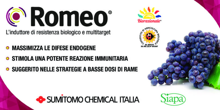 Sumitomo Chemical: la stagione riparte con i primi trattamenti abbinati a Romeo®