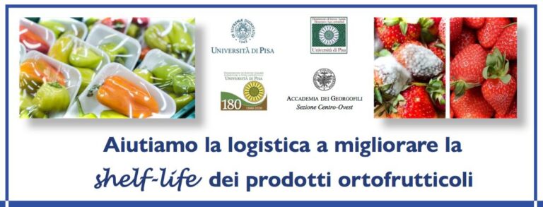 Georgofili: webinar ‘Aiutiamo la logistica a migliorare la shelf-life dei prodotti ortofrutticoli’