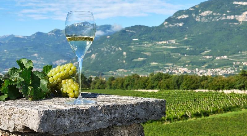 Il Trentino à è la Regione vitivinicola dell'anno