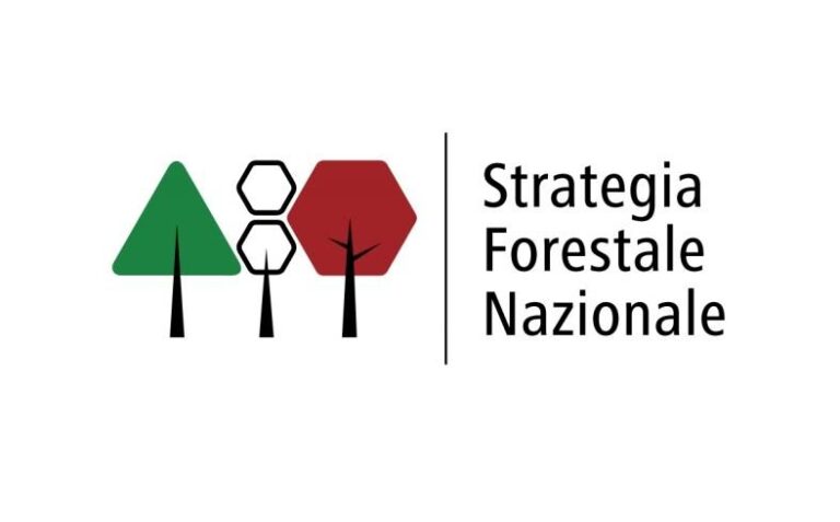 Strategia Nazionale Forestale: Pubblicato sul sito il documento di analisi sulle osservazioni giunte nel corso della consultazione pubblica