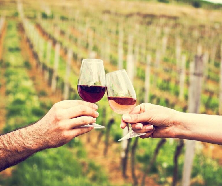 L’export di vino europeo segna un + 12% nei primi cinque mesi 2022