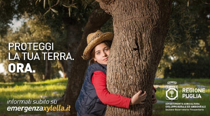 Piano d’azione per contrastare la diffusione della Xylella fastidiosa in Puglia