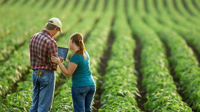 Che cos’è l’Agricoltura 4.0: il Glossario dell’Osservatorio Smart Agrifood