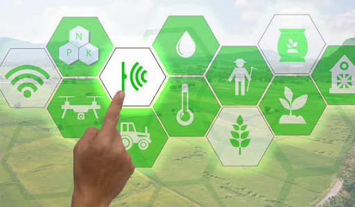Parte “Agritech”, il Centro Nazionale per lo sviluppo delle Nuove Tecnologie in Agricoltura