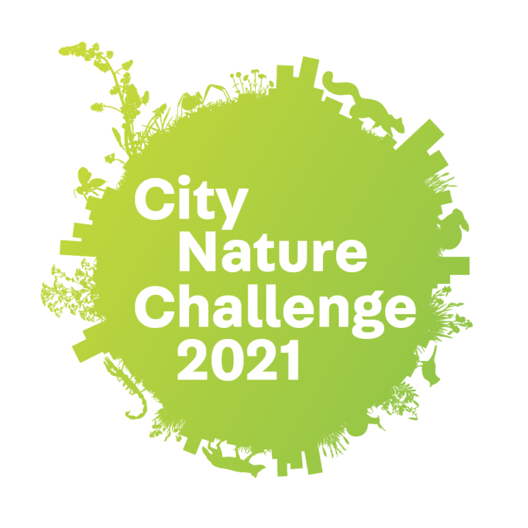 Foglie Tv  media partner del City Nature Challenge 30 Aprile – 3 Maggio 2021