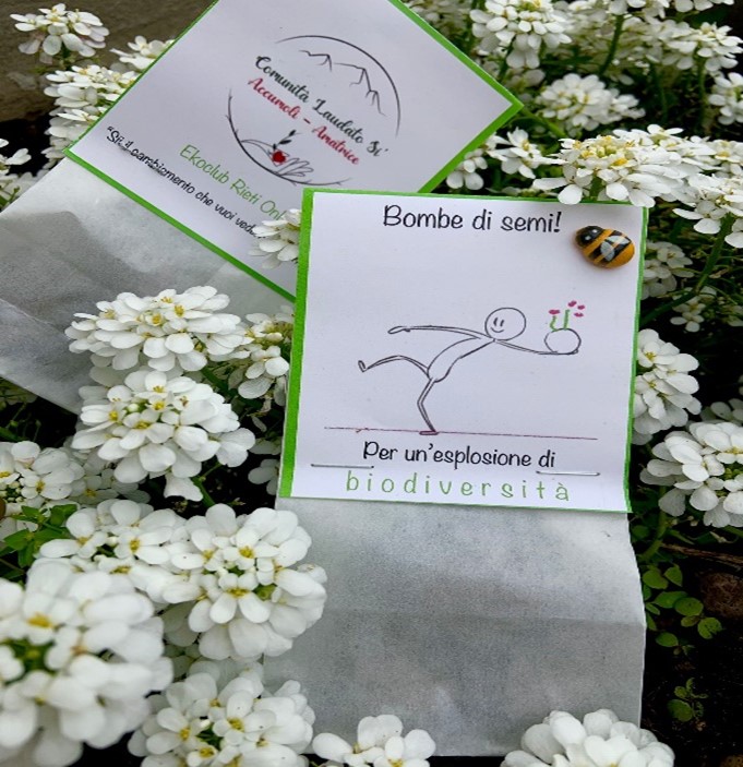 Lazio: apicoltura, la Copagri sostiene il progetto “Bombe di semi” della comunità Laudato Sì di Accumoli-Amatrice
