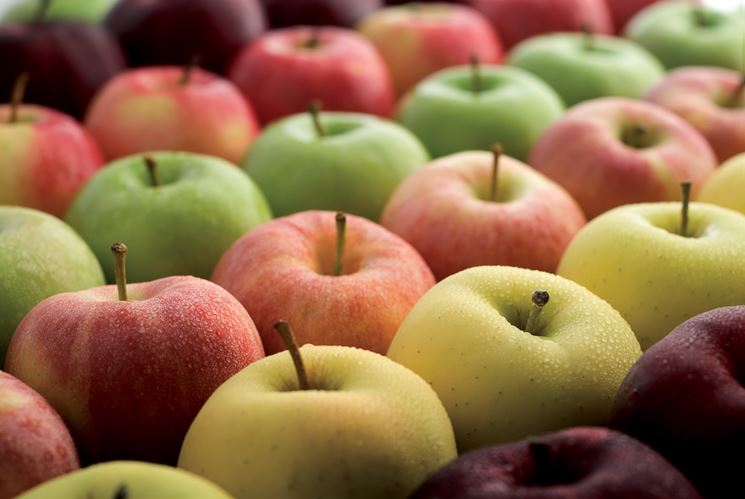 Assomela, Previsioni della produzione di mele in Europa