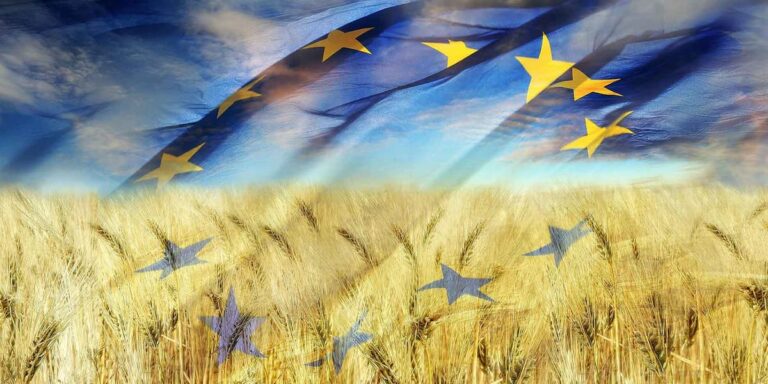 Agricoltura, Silvicoltura e Pesca ricevono aiuti per 1.2 mld da Commissione Europea
