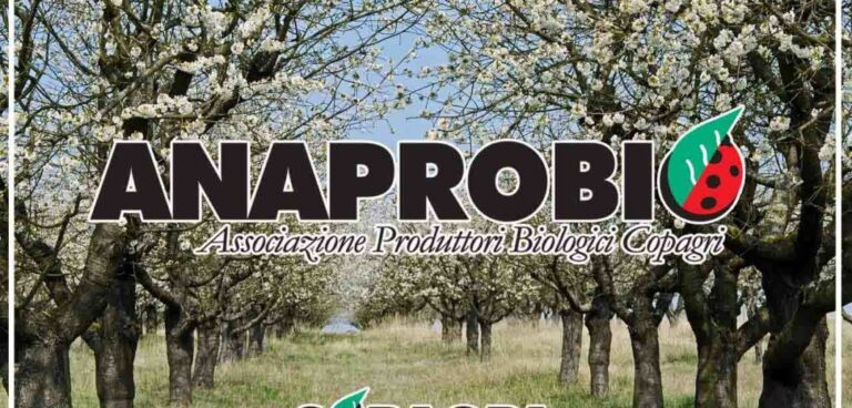Anaprobio, l’Associazione dei produttori biologici di Copagri