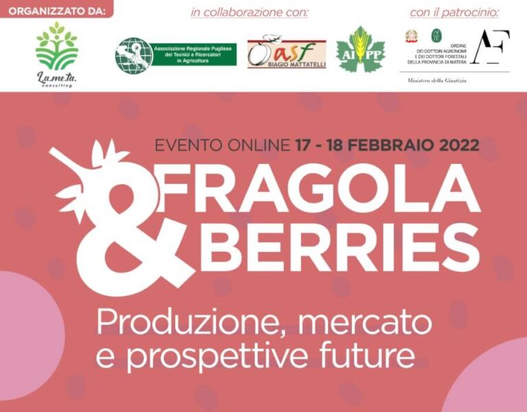 FORUM FRAGOLA & BERRIES: Produzione, mercato e prospettive future