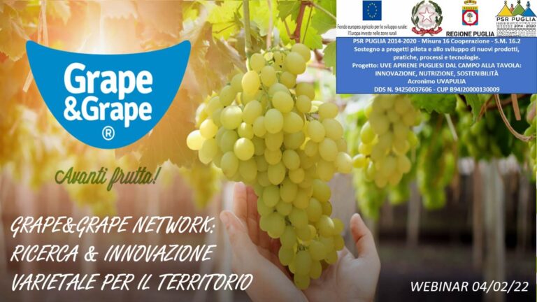 Webinar di Presentazione del Progetto di Grape&Grape Network