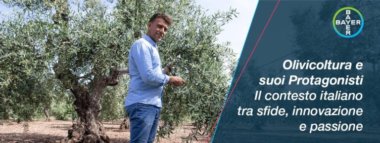 Bayer presenta un portfolio completo di soluzioni Crop Protection per l’olivo