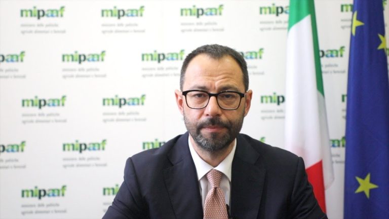 L’intervento del Ministro Stefano Patuanelli alla presentazione del 7° Censimento generale dell’Agricoltura dell’Istat