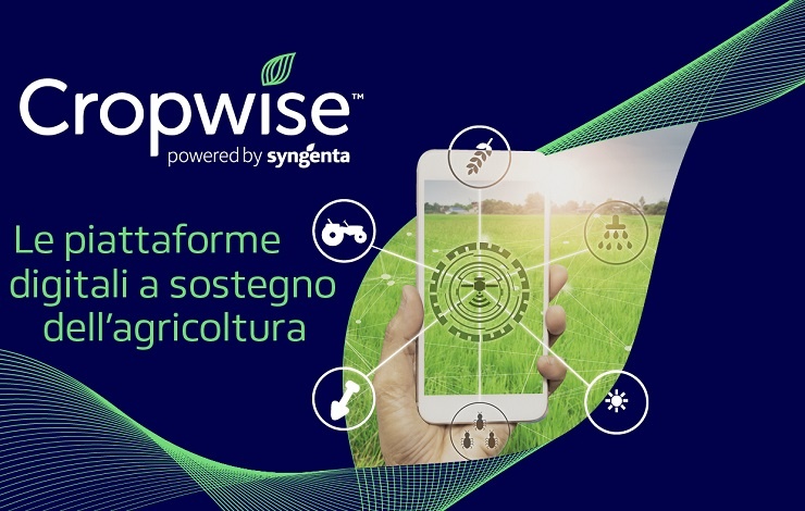 Cropwise, le piattaforme digitali Syngenta a sostegno dell’agricoltura