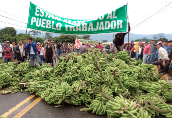 L’Ecuador il principale paese esportatore di banane colpito da un forte crollo della produzione.