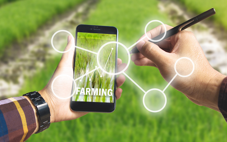 Le nuove frontiere dell’intelligenza artificiale in agricoltura