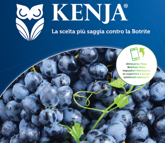 Kenja, il fungicida antibotridico di Belchim Italia