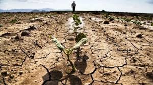Firmato decreto a sostegno aziende agricole colpite da siccità