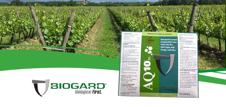 AQ 10 – Da biogard un fungicida antioidico innovativo