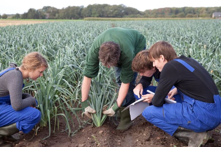 Consiglieresti a tuo figlio di lavorare in agricoltura?