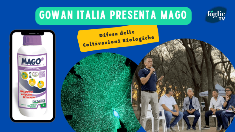 MAGO, l”innovativo coadiuvante speciale di Gowan Italia