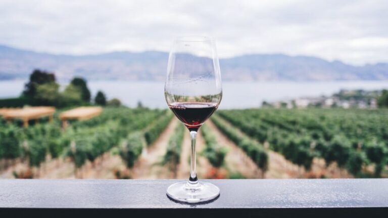 La chimica del vino: un mondo dentro al nostro bicchiere