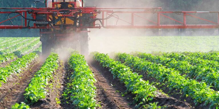 Pesticidi: Italia leader Ue nel biologico