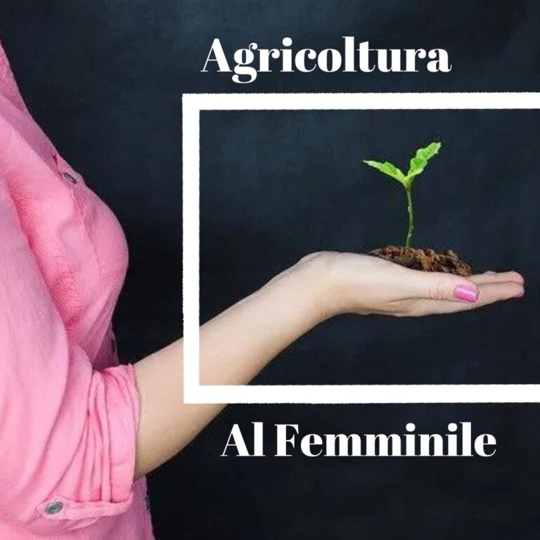 In Italia il 31,5% delle aziende agricole è gestito da donne