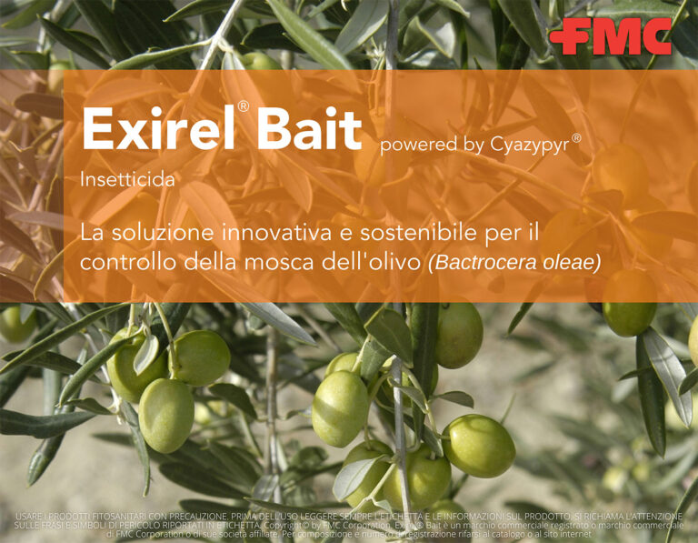 Exirel® Bait, la soluzione innovativa e sostenibile per il controllo della mosca dell’olivo