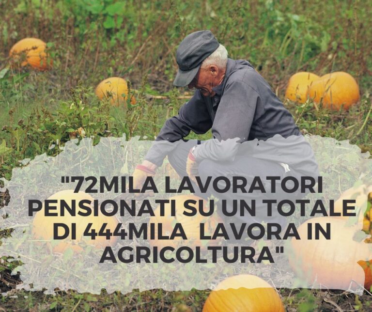 Pensioni: il 16% lavora nei campi per salvare i raccolti