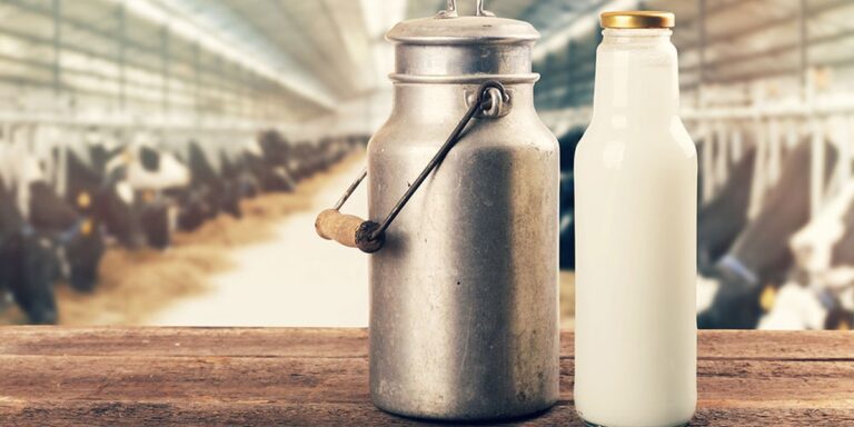Accordo sul prezzo del latte: 58 centesimi al litro