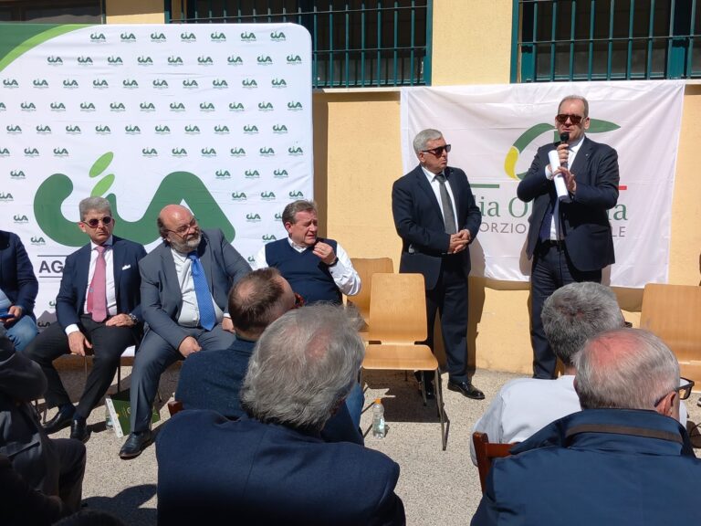 Piano olivicolo e Commissario anti-Xylella: gli impegni del Governo  davanti a olivicoltori e frantoiani della Puglia riunitisi a Bitonto
