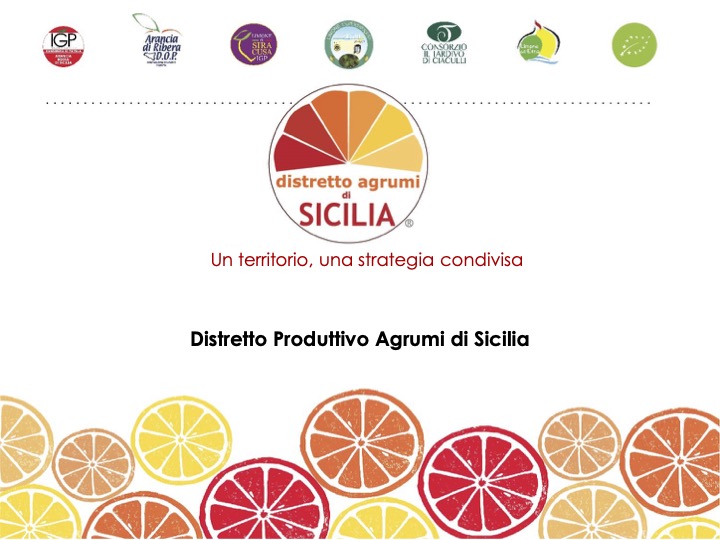 La via per l’innovazione del Distretto Produttivo Agrumi di Sicilia