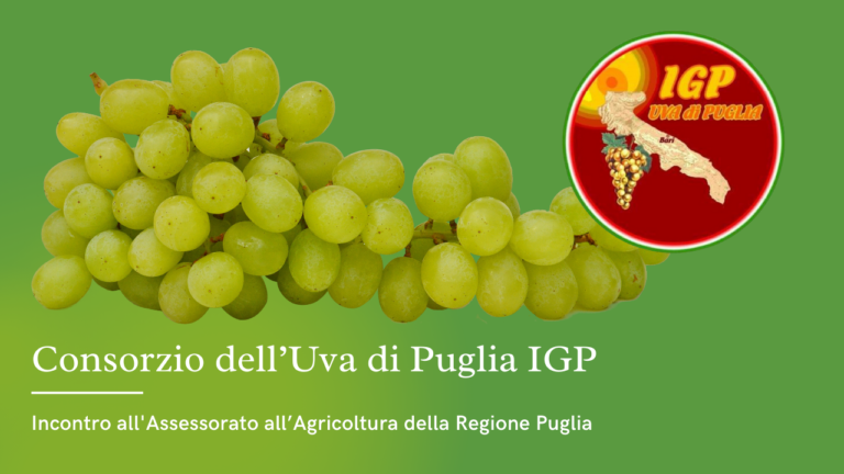 Il Consorzio Uva di Puglia IGP invita la filiera dell’uva