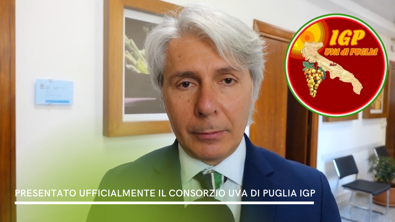 Presentato ufficialmente il Consorzio Uva di Puglia IGP