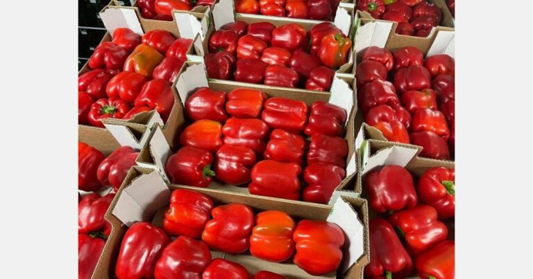 In Germania distrutti peperoni importati con un alto livello di residui di pesticidi