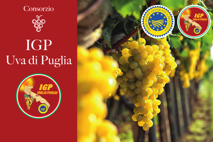 Il Consorzio di tutela Uva di Puglia Igp comunica l’ottenimento del riconoscimento ministeriale