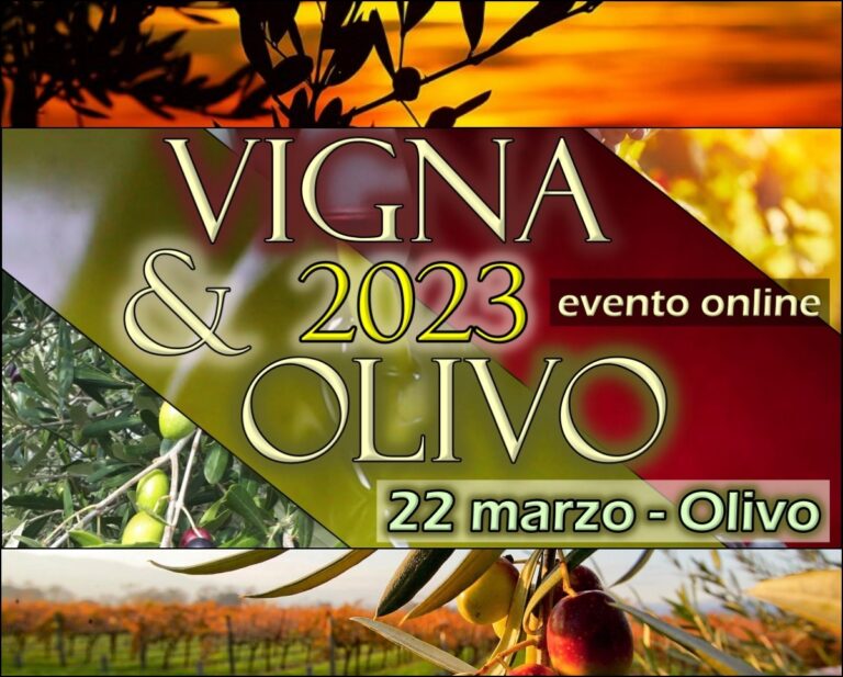 Secondo appuntamento con Vigna Olivo focus olivo