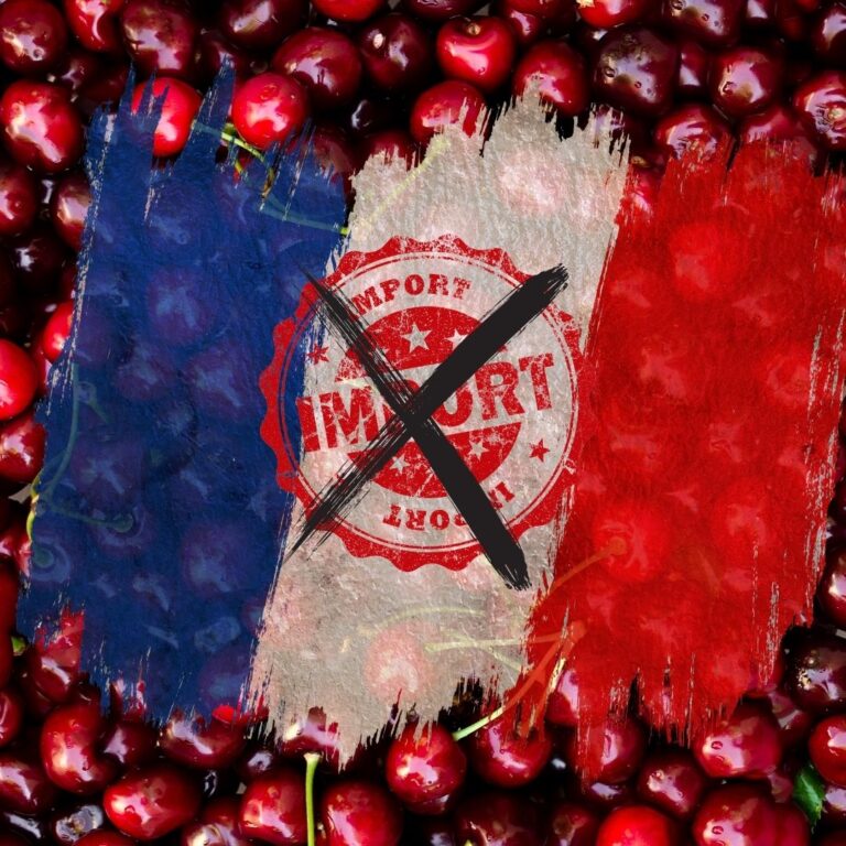La Francia non accoglierà ciliegie trattate con phosmet