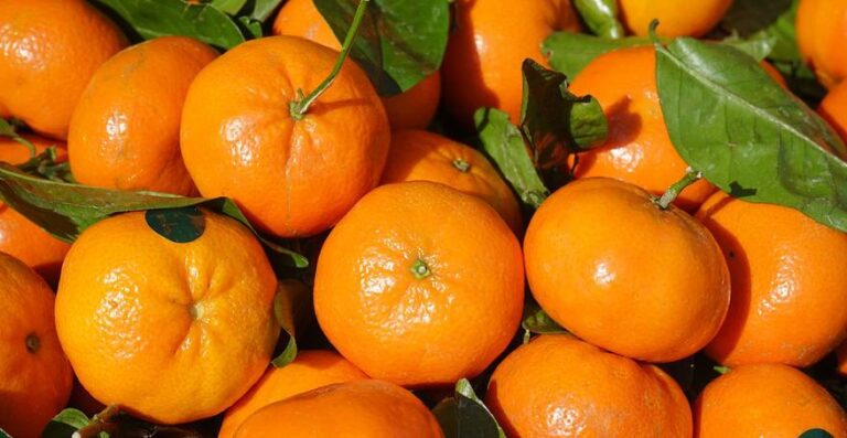 Polonia: trovati residui di pesticidi nei mandarini spagnoli