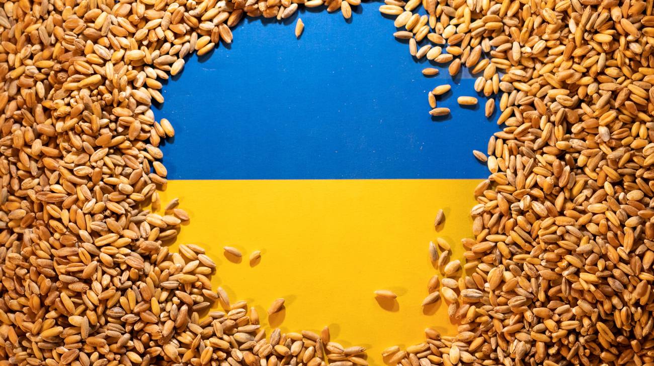 L’ucraina vende così tanti cereali nell’Ue: le conseguenze per gli agricoltori