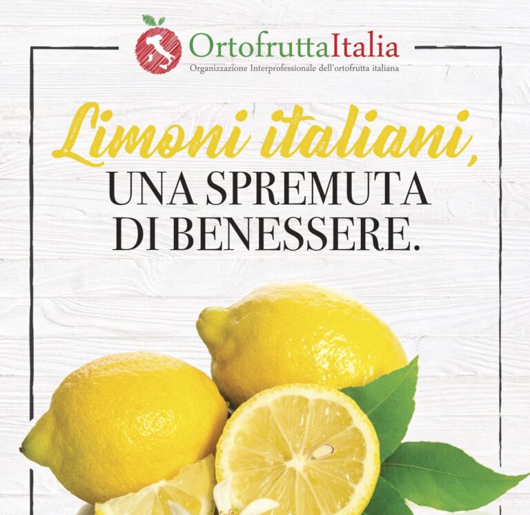 L’eccellenza ed il gusto dei limoni italiani