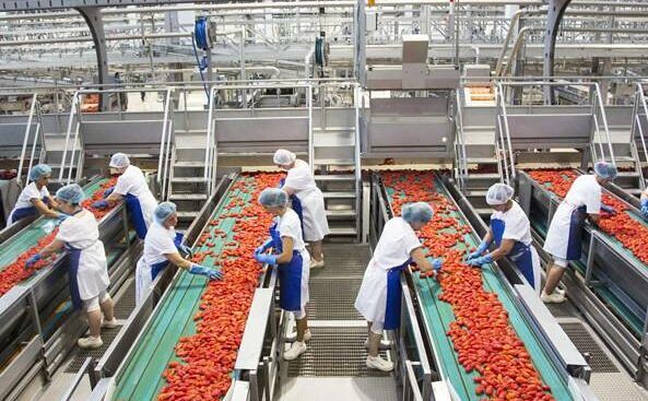 Princes Industrie Alimentari annuncia massimo punteggio nel “Rating di legalità”