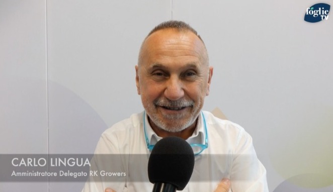 Intervista a Carlo Lingua, amministratore delegato della AVI Srl