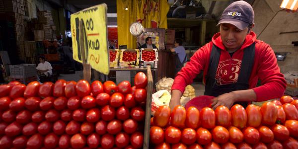 Per la prima volta nella storia, il Marocco ha venduto più pomodori della Spagna