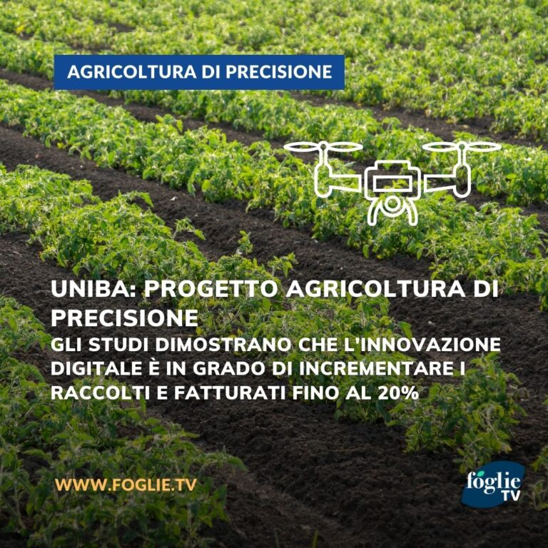 Un progetto UniBa per attività progettuali su agricoltura di precisione