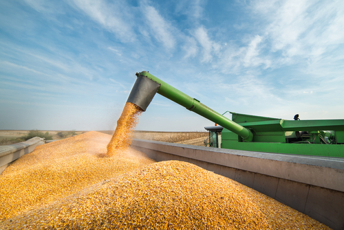 Cereali: Anacer, in primo Trimestre 2023 Import stabile