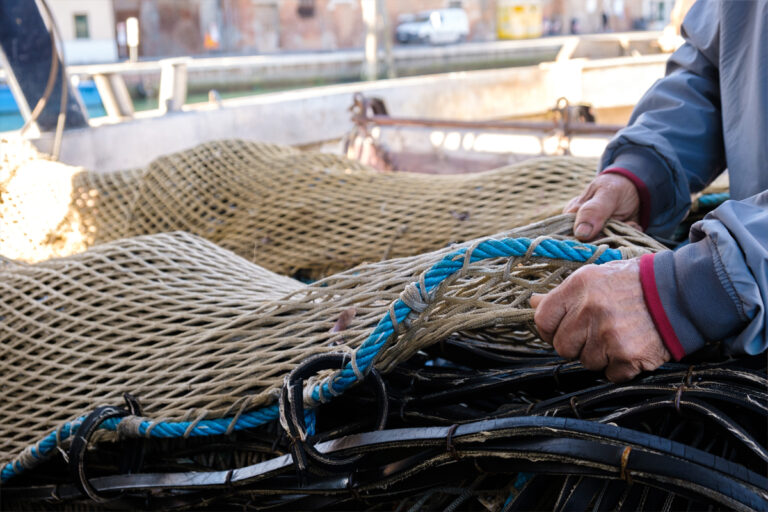 Alleanza Cooperative Pesca: rischio paralisi per troppa burocrazia