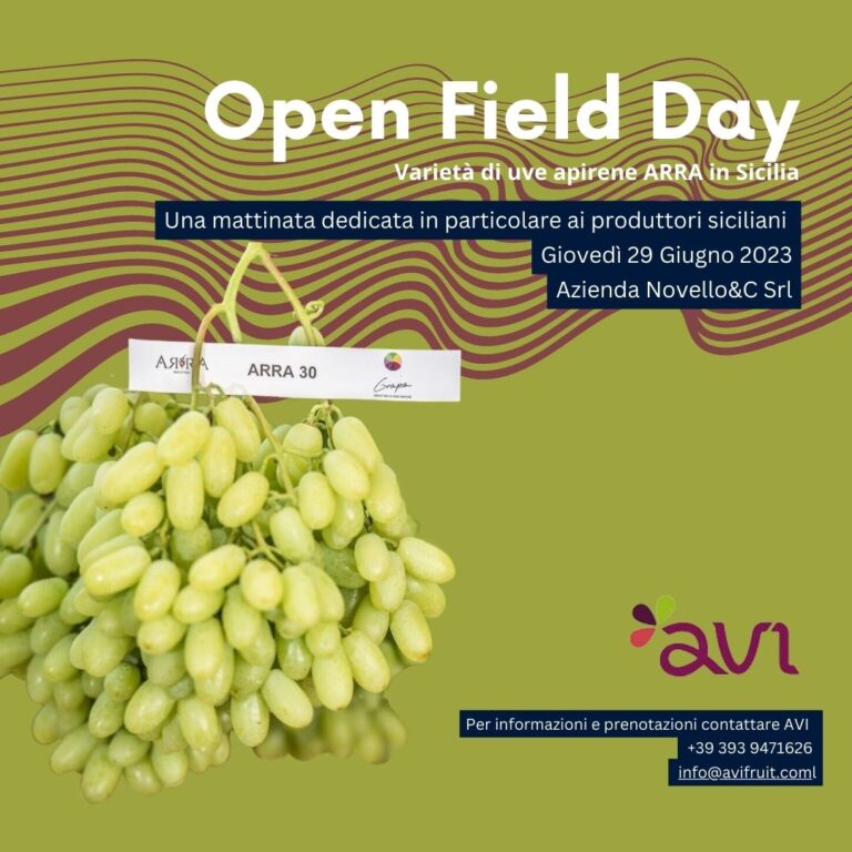 Avi organizza un Open Field Day sulle varietà di uve apirene ARRA in Sicilia